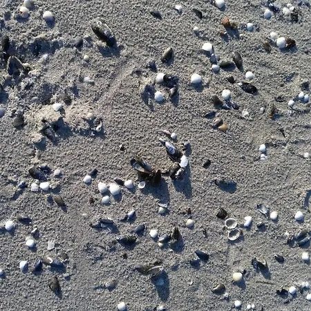 Feriehus Ostseehaus Lea Doppelhaushaelfte *